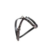 lame-harness